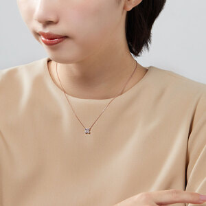 AGAN634545DI_999_3_20250122150