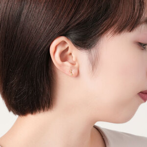 ブラウンバンデッドアゲート＊ピアスorイヤリング trim_fce_item63dfb5765e942.jpg