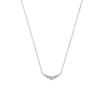 ダイヤモンド リュール ネックレス（APVN151040DI）｜ネックレス