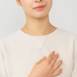 プラチナ製 ダイヤ 0,30ct リュールネックレス プラチナダイヤモンドリュールネックレス | 商品詳細 | 高島屋