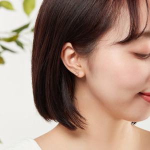 キュービックジルコニア ピアス（GAAA0338__CZ）｜ピアス