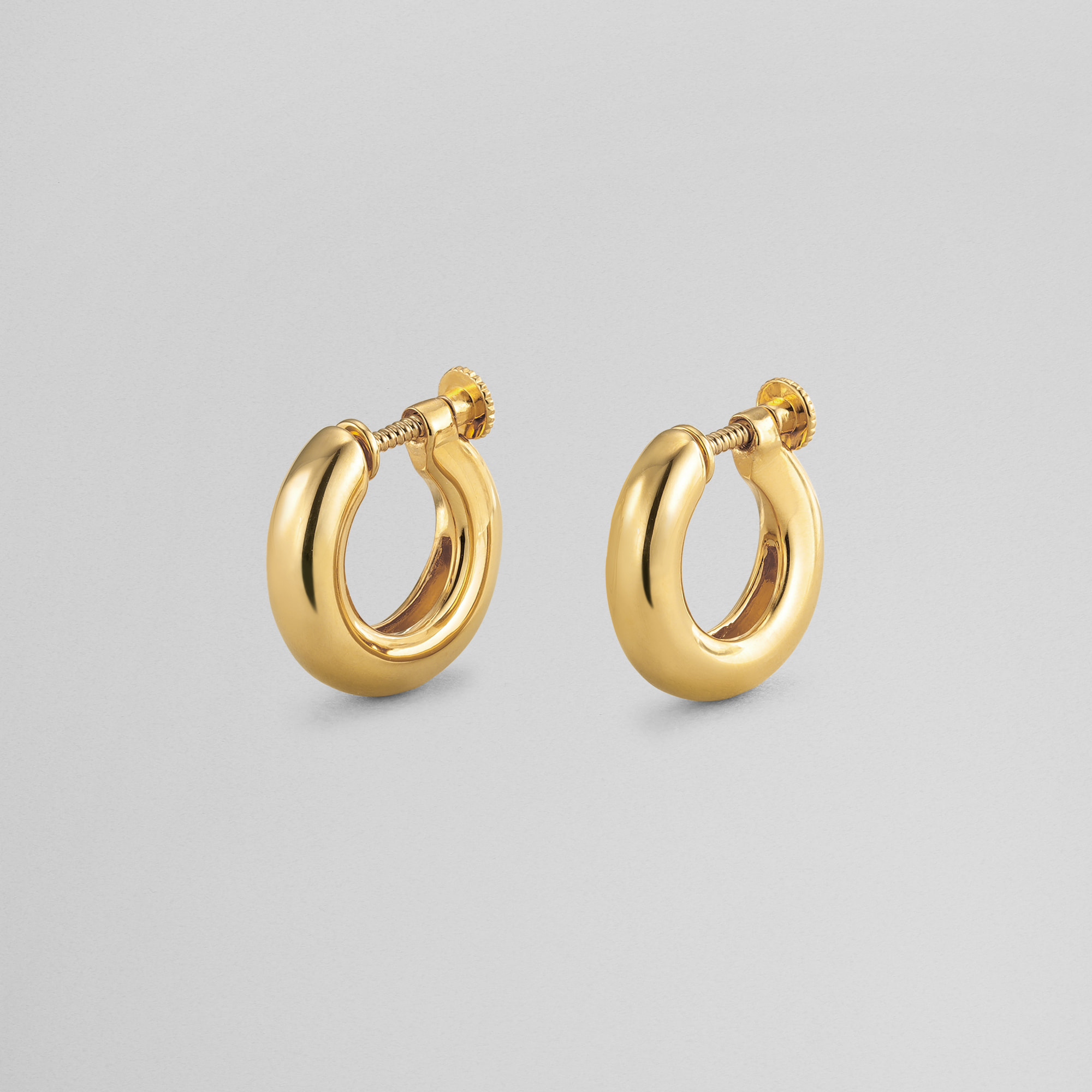 フープ_L イヤリング