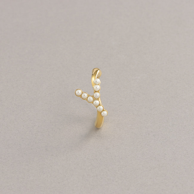 - 認定NPO法人フローレンス - LOVEdonation カフリング_Y