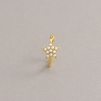 - 認定NPO法人フローレンス - LOVEdonation カフリング_Lucky Star