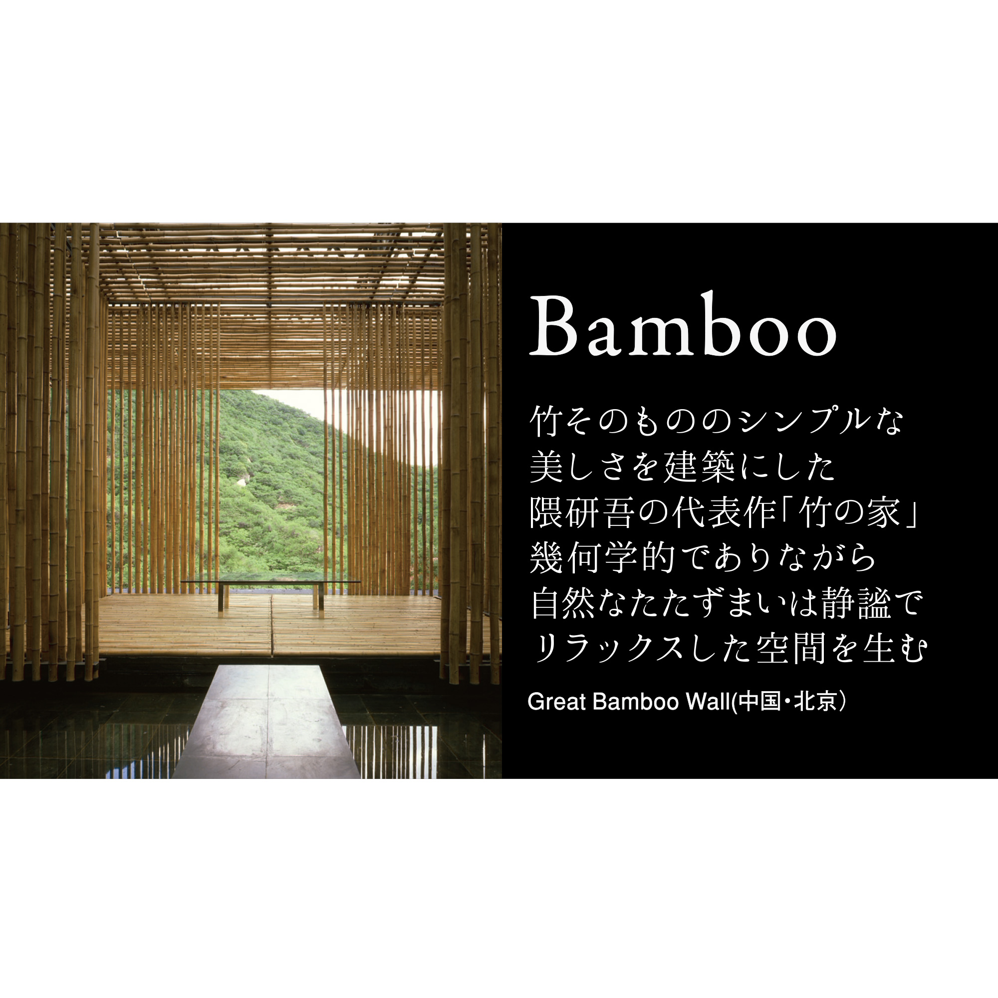Bamboo タイバー, -, -
